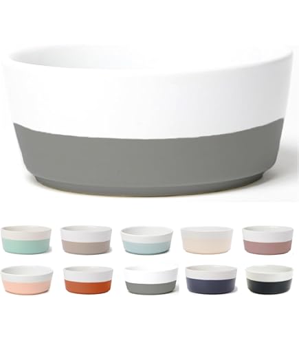 Amazon.com: Waggo Dipper Ceramic Dog Bowl for Small and Large